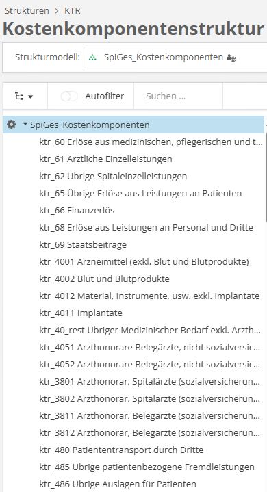 Auszug Kostenkomponenten-Struktur SpiGes